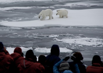 Mother and cubs, Canadian Arctic
